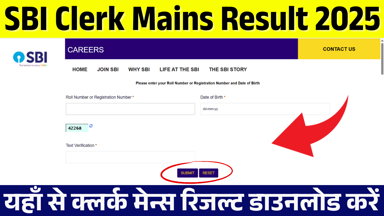 SBI Clerk Mains Result 2025